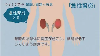 やさしく学ぶ 急性腎炎