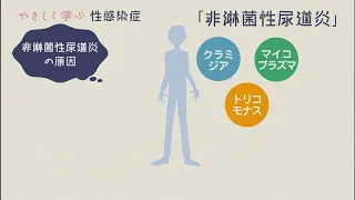 やさしく学ぶ　性感染症　非淋菌性尿道炎